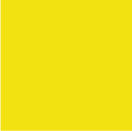 Oracal 651 Adhesive Vinyl 025 Brimstone yellow – MyVinylCircle