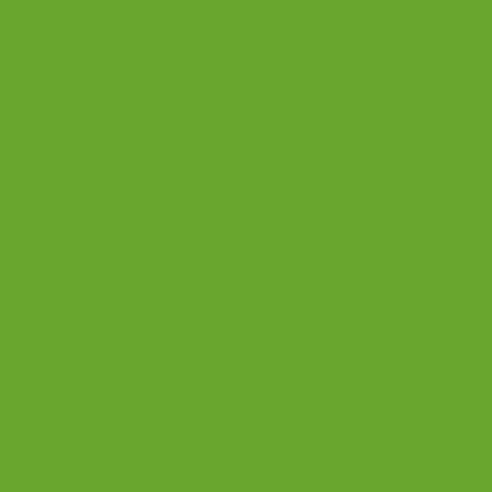 Positiv Udstyr meddelelse Oracal 651 Adhesive Vinyl 063 Lime-tree green – MyVinylCircle