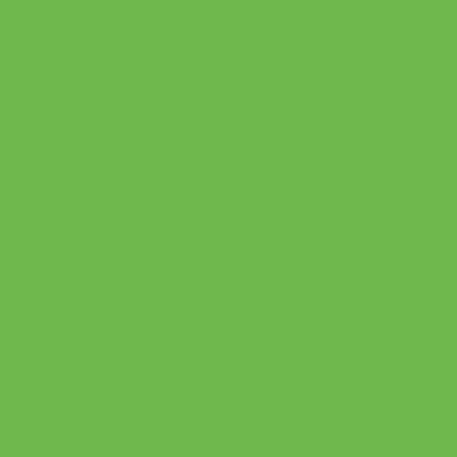 Green Apple Siser EasyWeed 15 – MyVinylCircle